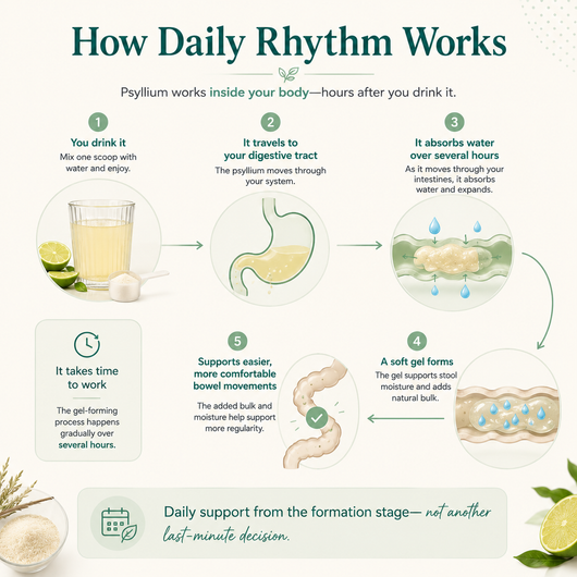 Melinara Daily Rhythm™